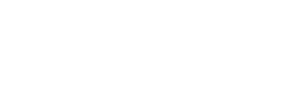 groundbirds-logo-veegmij
